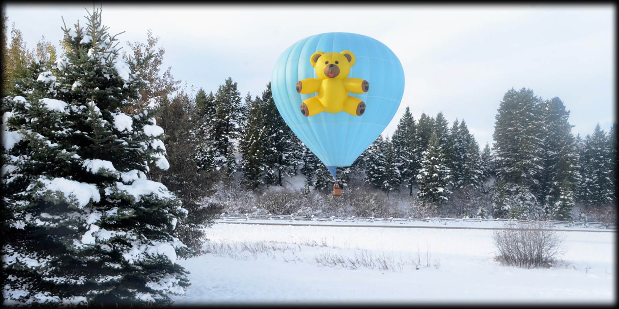 Fun Balloon Shapes Montana Hot Air Balloons